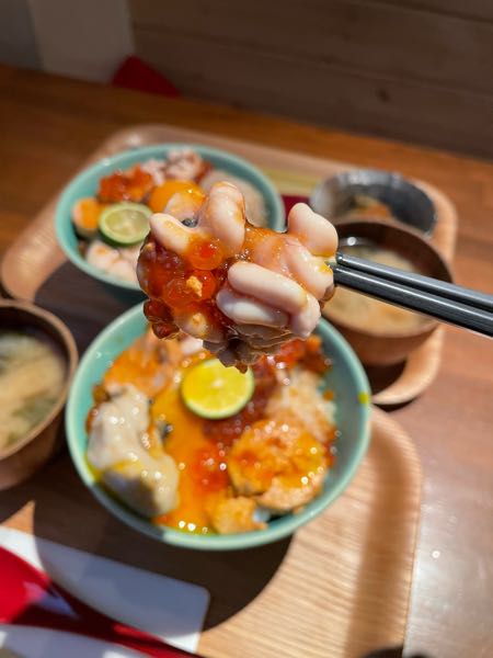 痛風丼