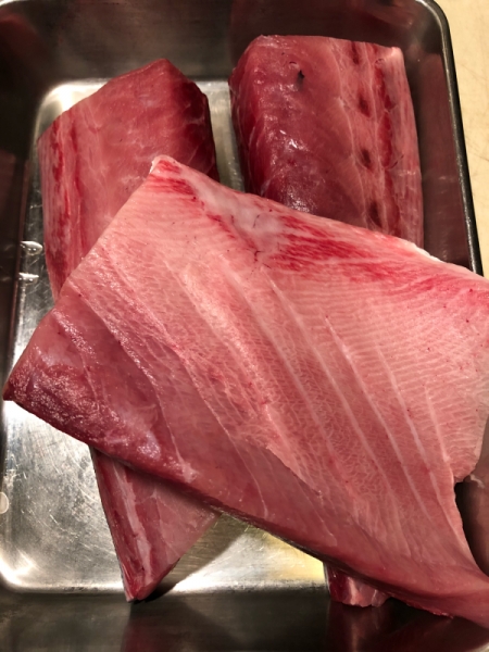 鰤