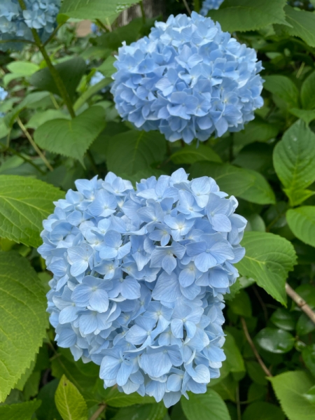 あ