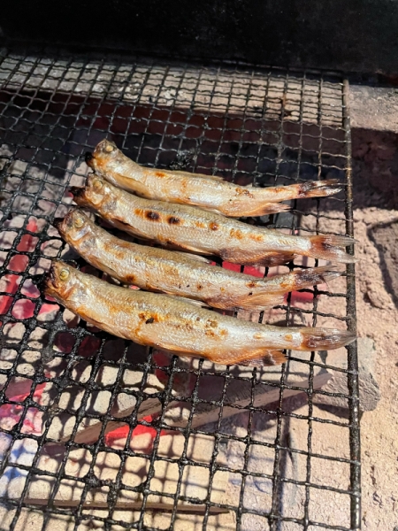 し
