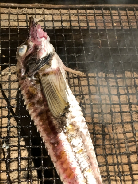 八角という北海道の高級魚